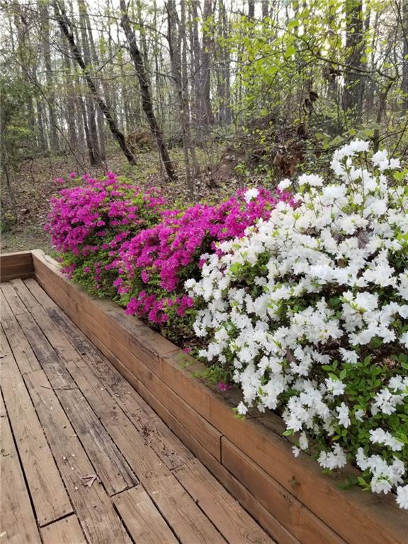 10870 Shallowford Road Roswell, GA 30075 - Photo 39 of 50 Gallery Image 39