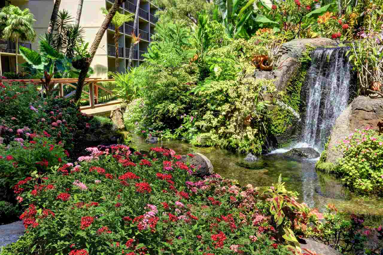 3445 Lower Honoapiilani Road, Unit 336 Lahaina, HI 96761 - Photo 16 of 22 a picture of flowers