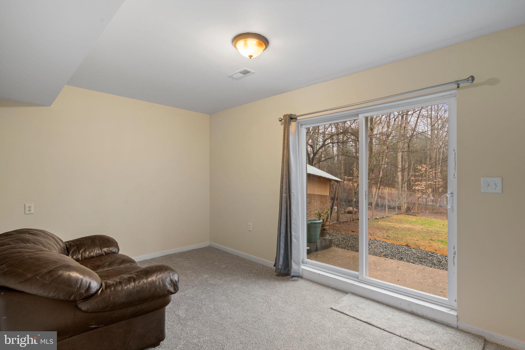 319 Cropp Road Fredericksburg, VA 22406 - Photo 34 of 43 2nd rec room with walkout