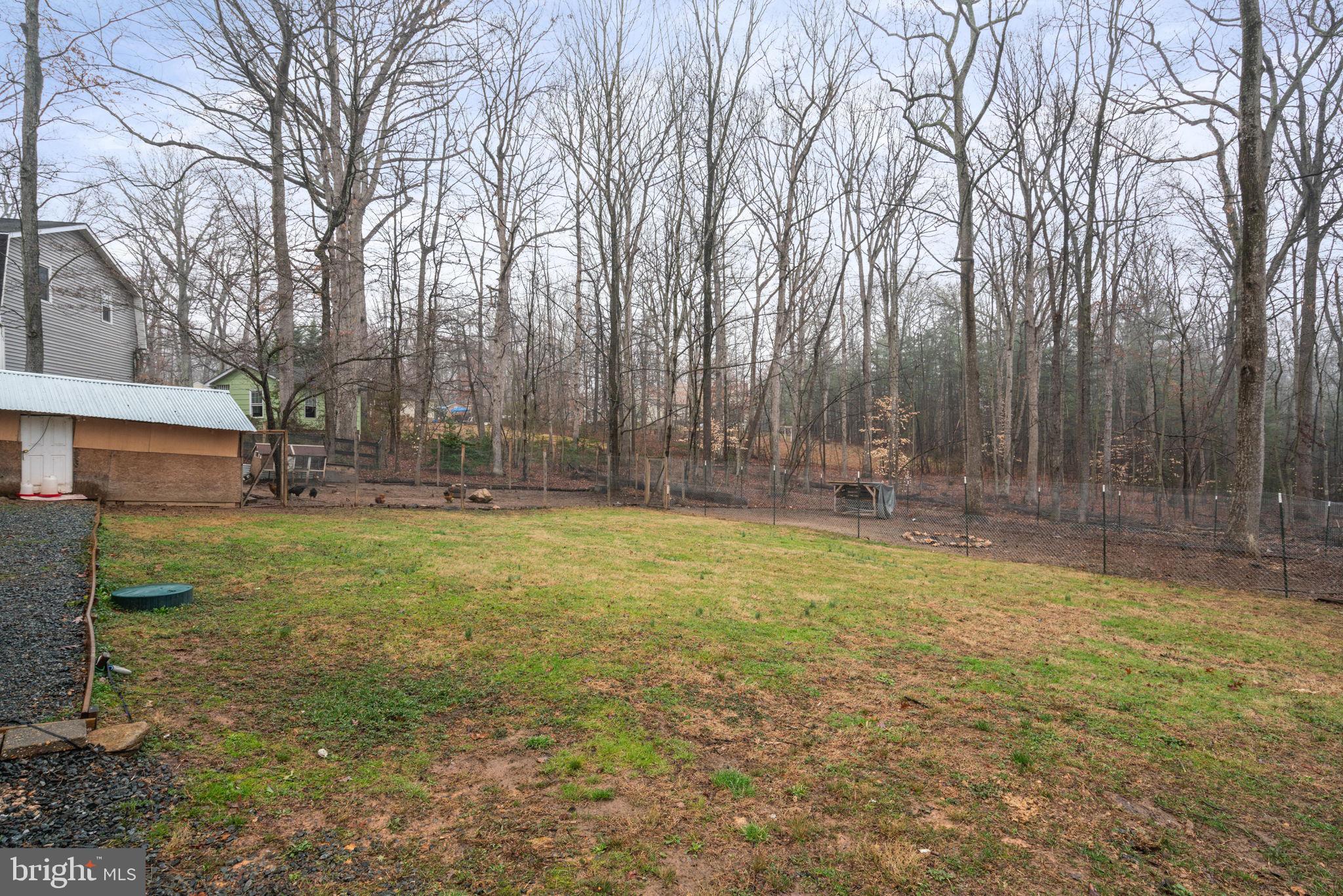 319 Cropp Road Fredericksburg, VA 22406 - Photo 36 of 43 Backyard with chicken coop and fencing