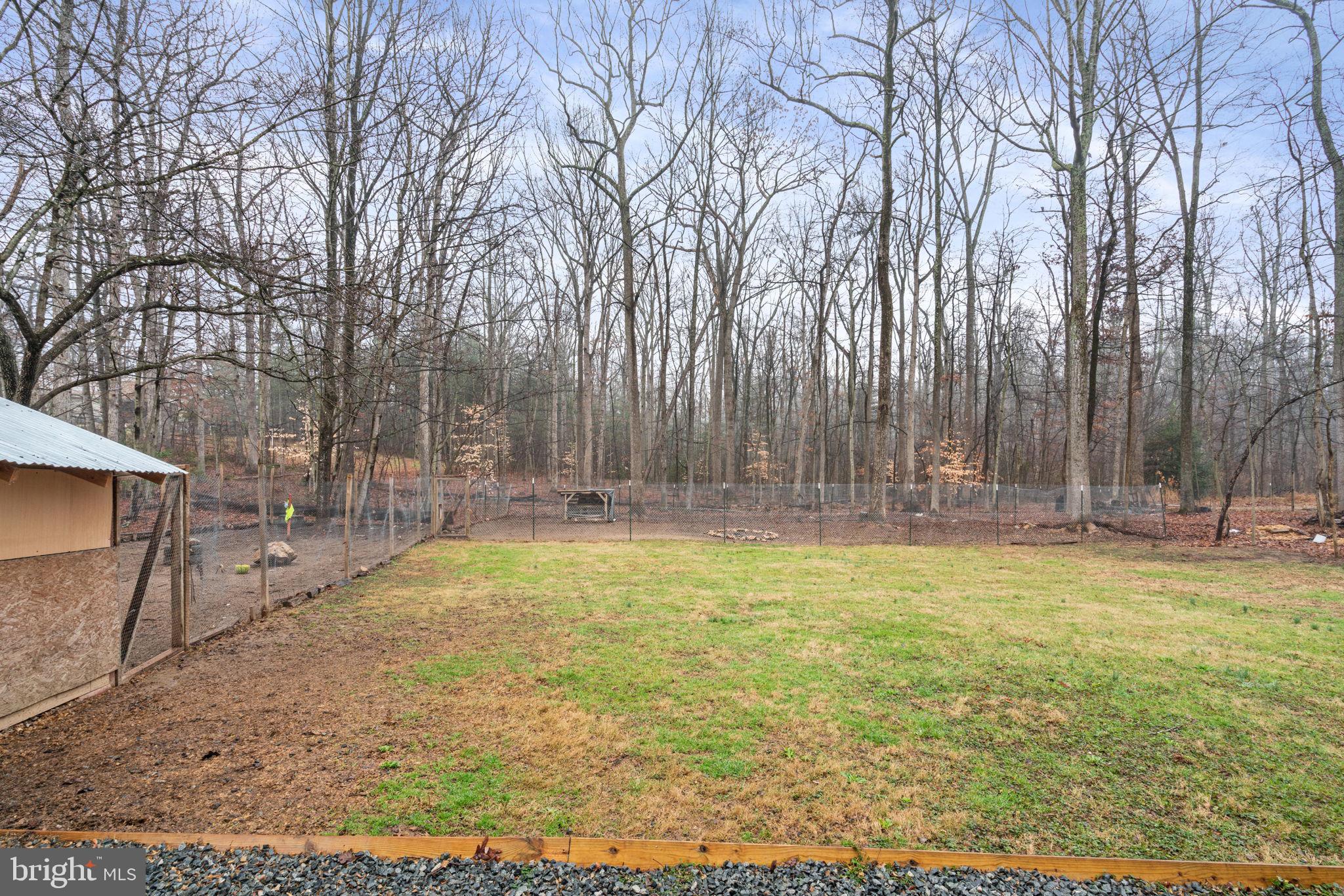 319 Cropp Road Fredericksburg, VA 22406 - Photo 40 of 43 Backyard