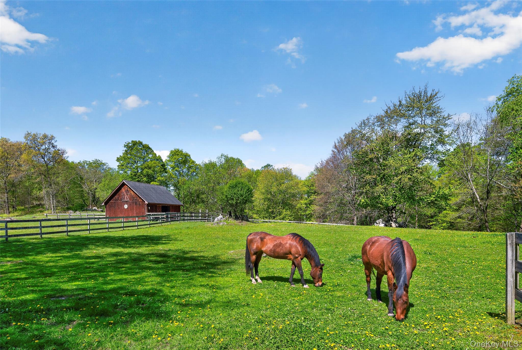 114 Last Road Middletown, NY 10941 - Photo 4 of 50 The barn is set back on the 2nd lot for quiet enjoyment.