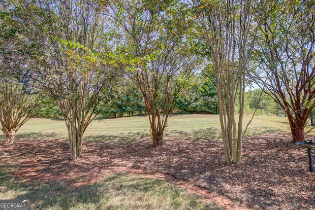 a view of outdoor space and yard