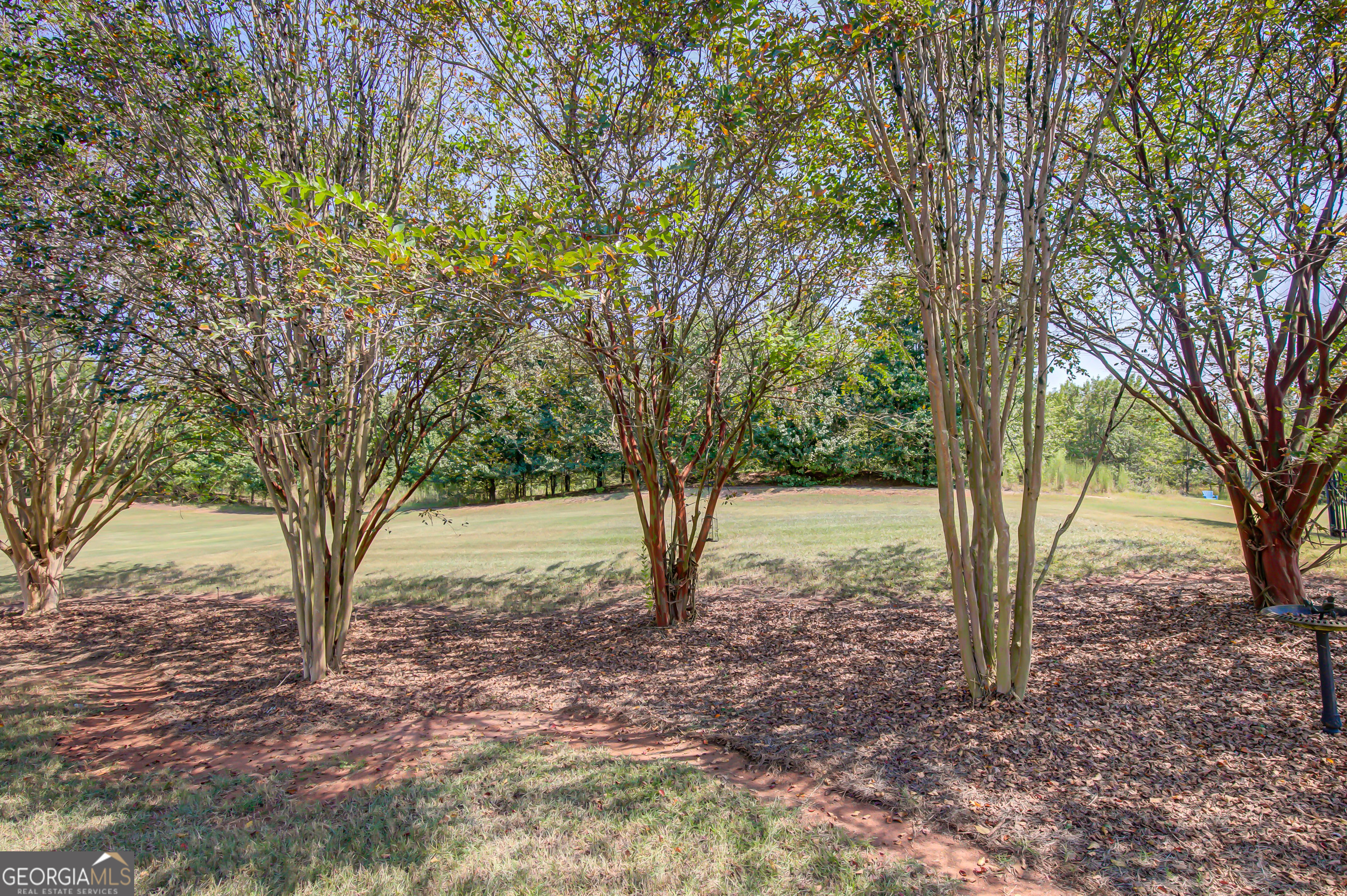 12350 Riviera Drive Fayetteville, GA 30215 - Photo 35 of 49 a view of outdoor space and yard