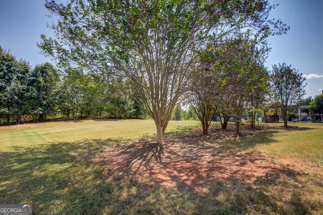 a view of a yard with a tree
