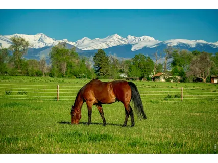 $9,999,900 | 2300 North 75th Street, Boulder, CO 80301