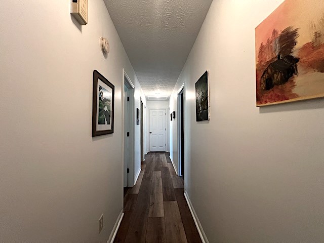 70 Ceremony Road Seale, AL 36875 - Photo 8 of 25