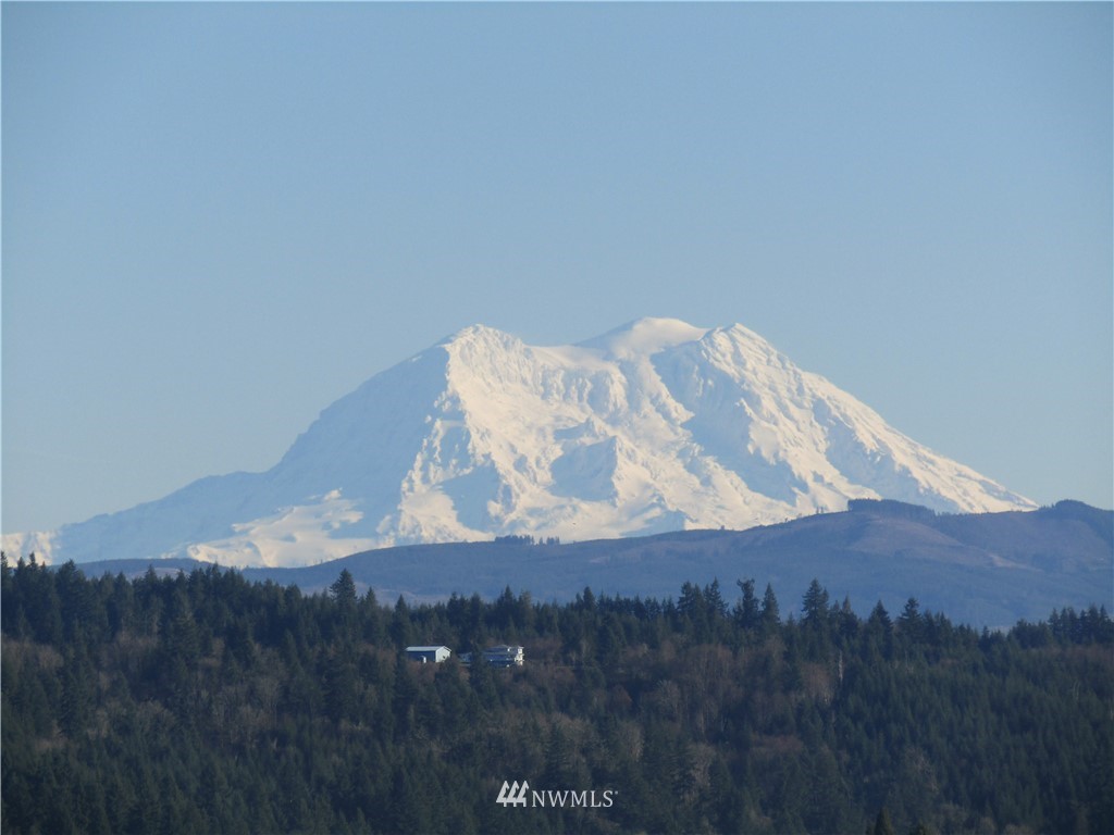 -xx South Scheuber Road Centralia, WA 98531 - Photo 1 of 10 Gallery Image 1