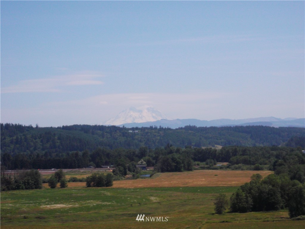 -xx South Scheuber Road Centralia, WA 98531 - Photo 3 of 10 Gallery Image 3