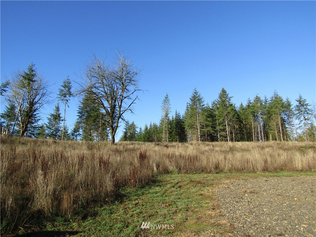 -xx South Scheuber Road Centralia, WA 98531 - Photo 4 of 10 Gallery Image 4