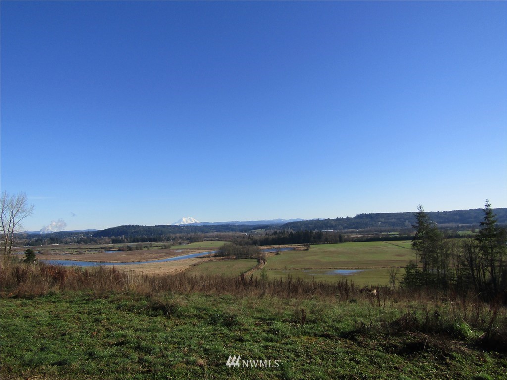-xx South Scheuber Road Centralia, WA 98531 - Photo 6 of 10 Gallery Image 6