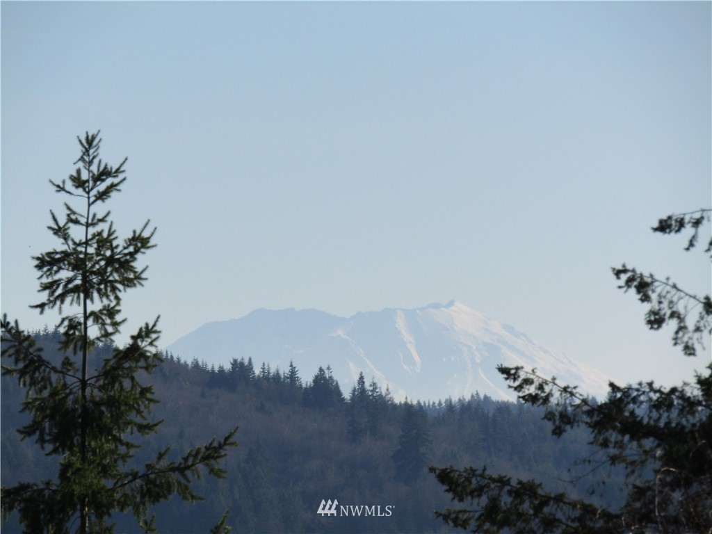 -xx South Scheuber Road Centralia, WA 98531 - Photo 7 of 10 Gallery Image 7