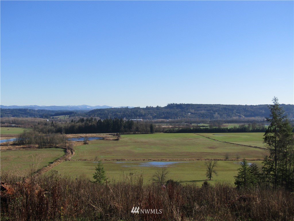 -xx South Scheuber Road Centralia, WA 98531 - Photo 8 of 10 Gallery Image 8