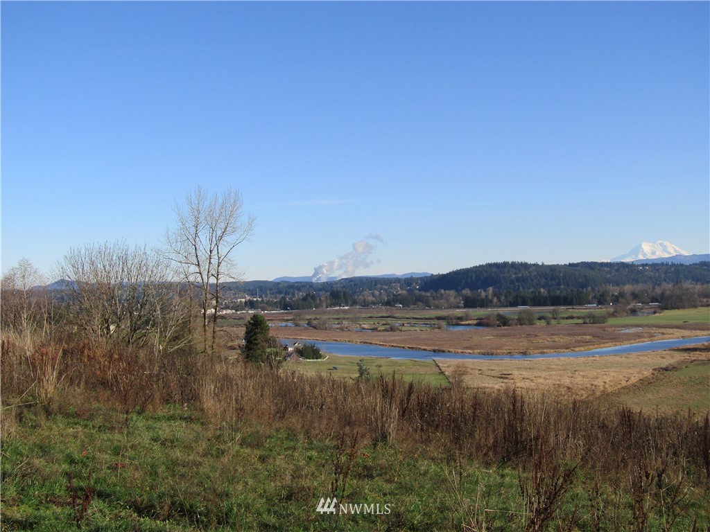 -xx South Scheuber Road Centralia, WA 98531 - Photo 9 of 10 Gallery Image 9