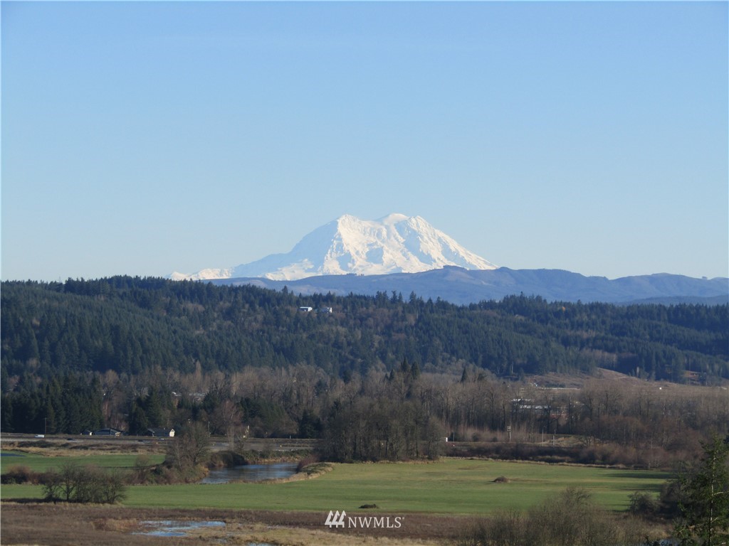 -xx South Scheuber Road Centralia, WA 98531 - Photo 10 of 10 Gallery Image 10