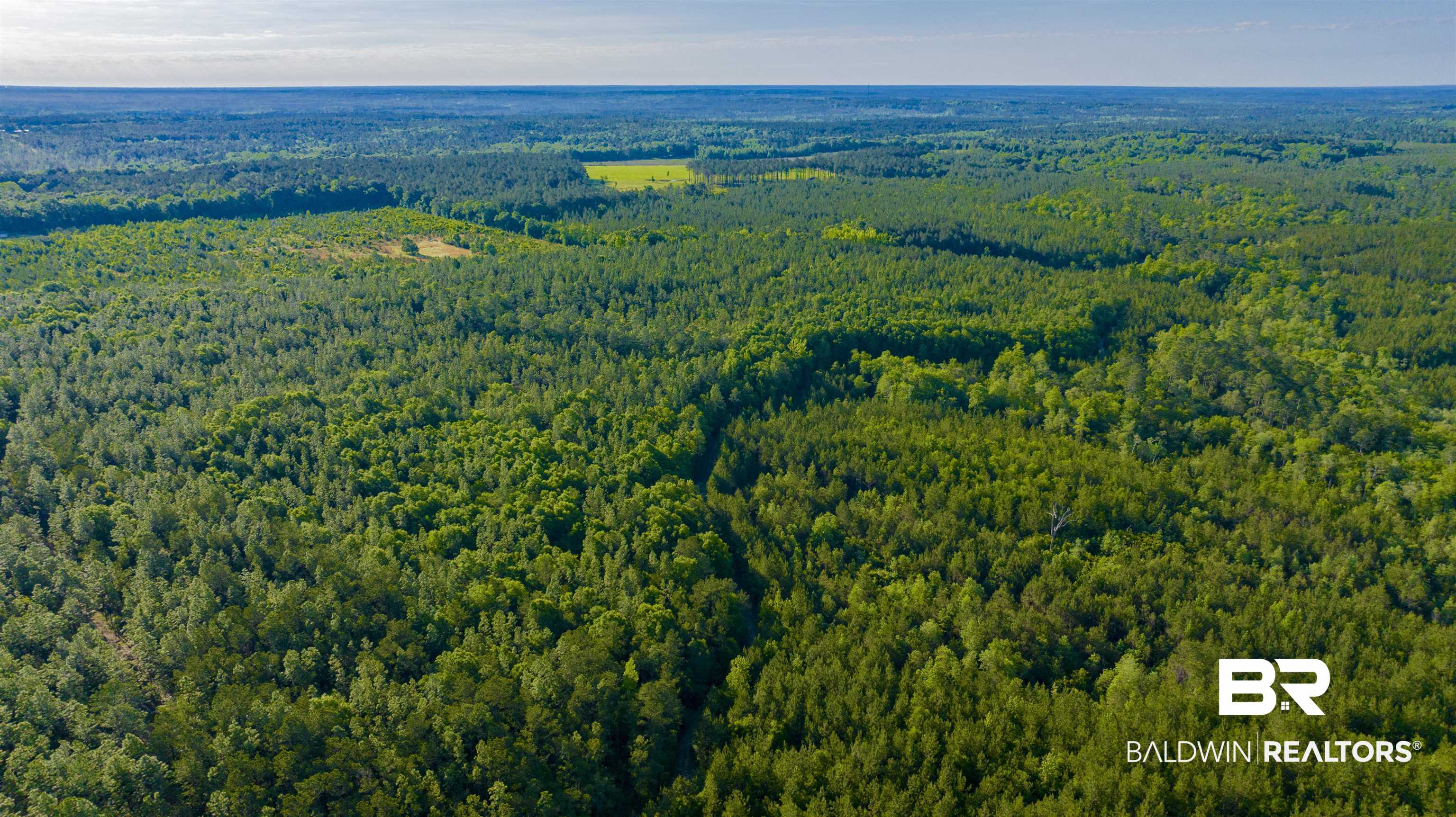 0 George Thomley Road Perdido, AL 36562 - Photo 2 of 7