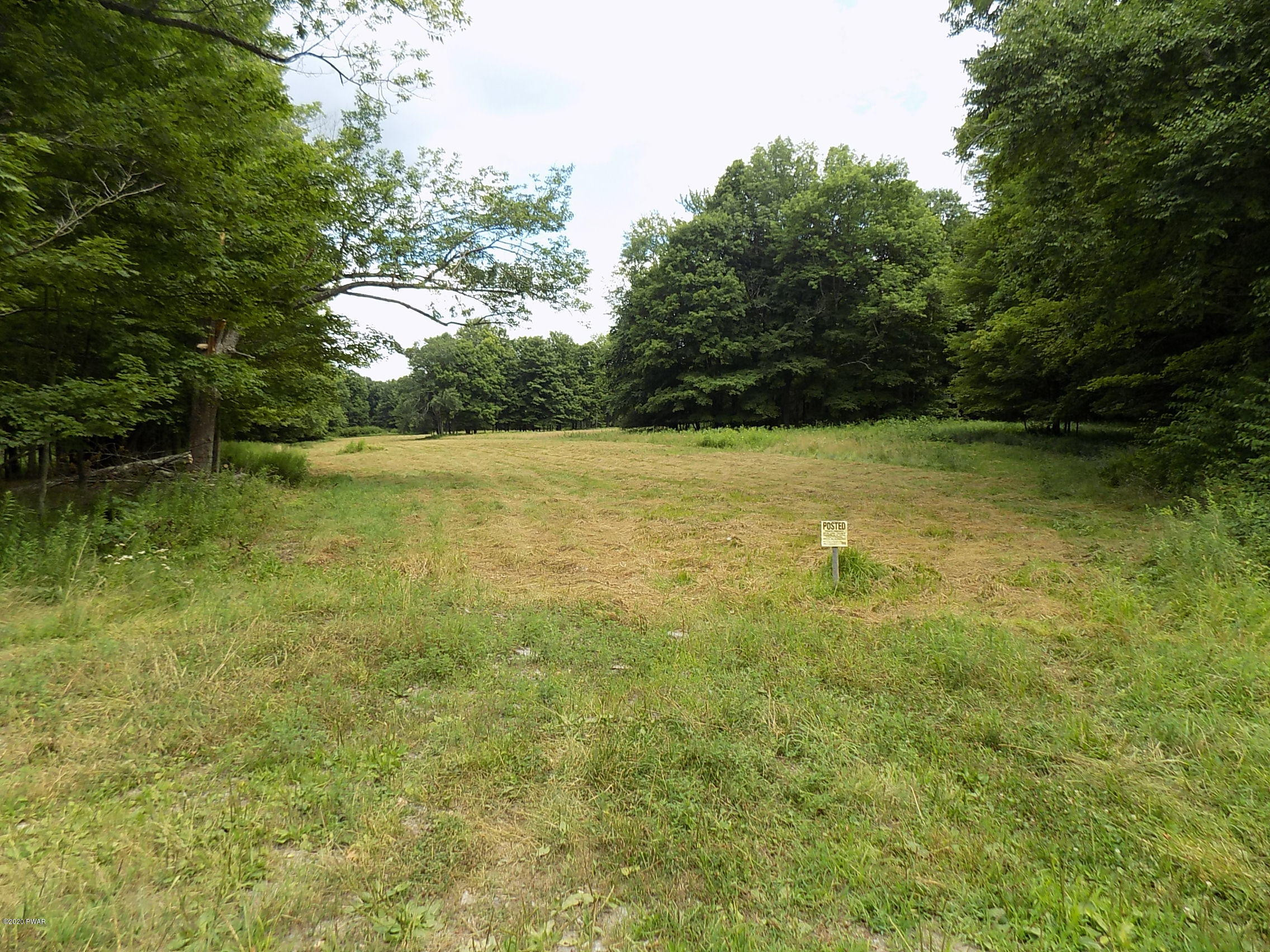 Lot 9 Phillips Road Newfoundland, PA 18445 - Photo 4 of 17