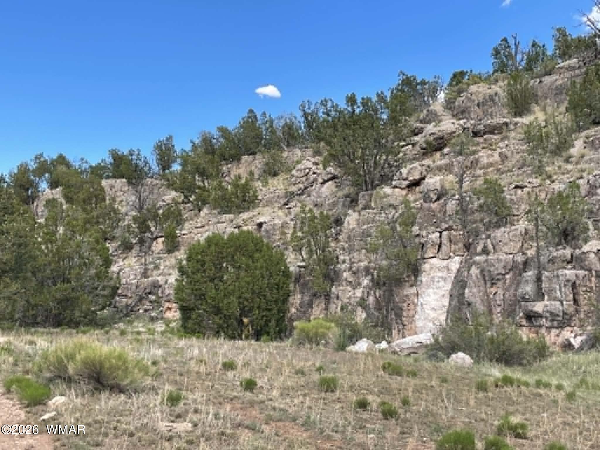 785 Twin Tanks Road Heber, AZ 85928 - Photo 7 of 39