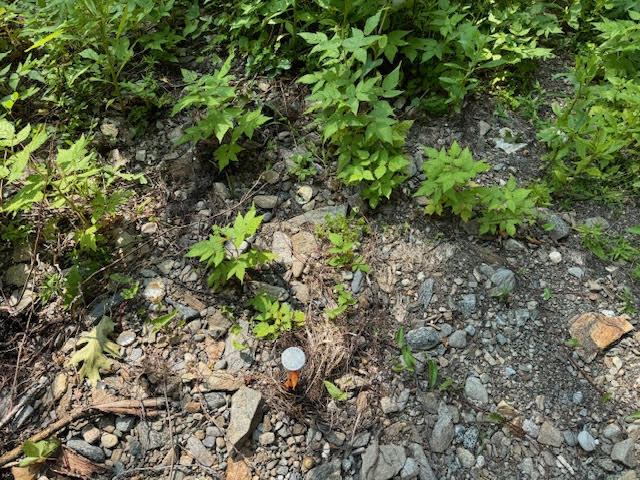 Lot C Long Point Road Harpswell, ME 04079 - Photo 15 of 36 unnamed-8