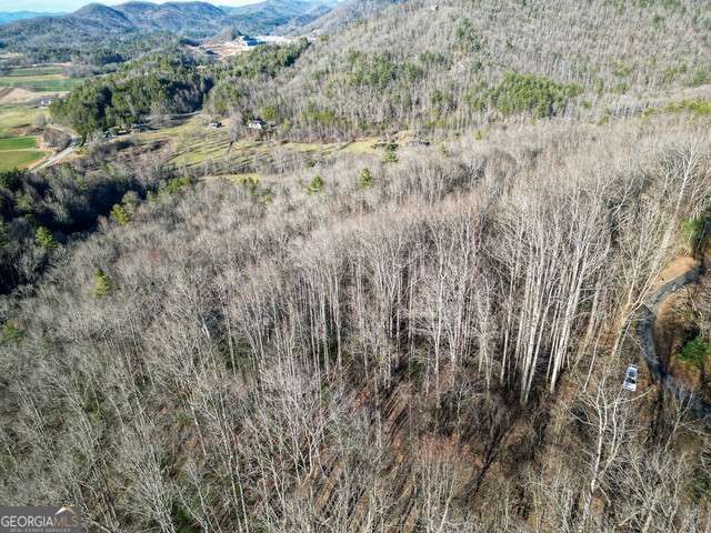 0 Chestnut Mountain Road Rabun Gap, GA 30568 - Photo 3 of 5