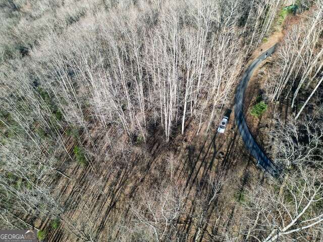 0 Chestnut Mountain Road Rabun Gap, GA 30568 - Photo 4 of 5
