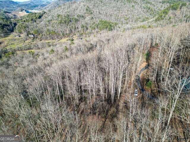 0 Chestnut Mountain Road Rabun Gap, GA 30568 - Photo 5 of 5