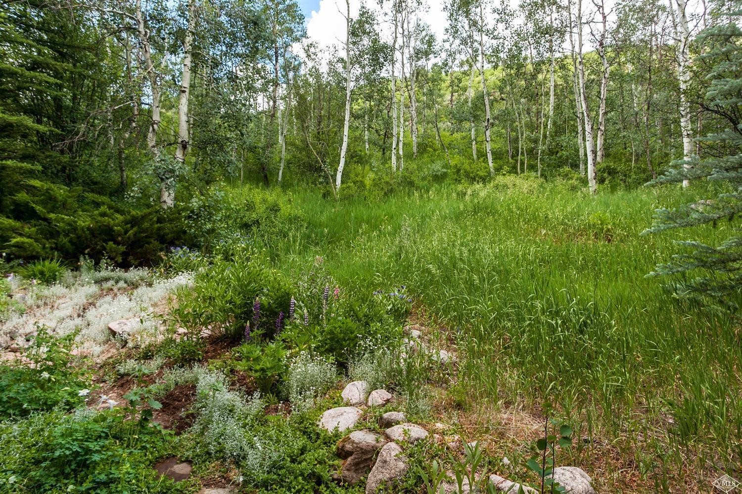 2925 Manns Ranch Road, Unit B Vail, CO 81657 - Photo 23 of 23 Additional Photo