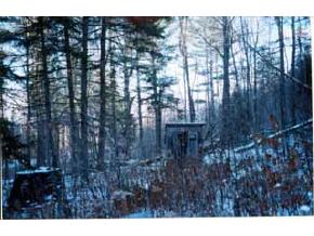 0 Graham Road Williamstown, VT 05679 - Photo 2 of 2