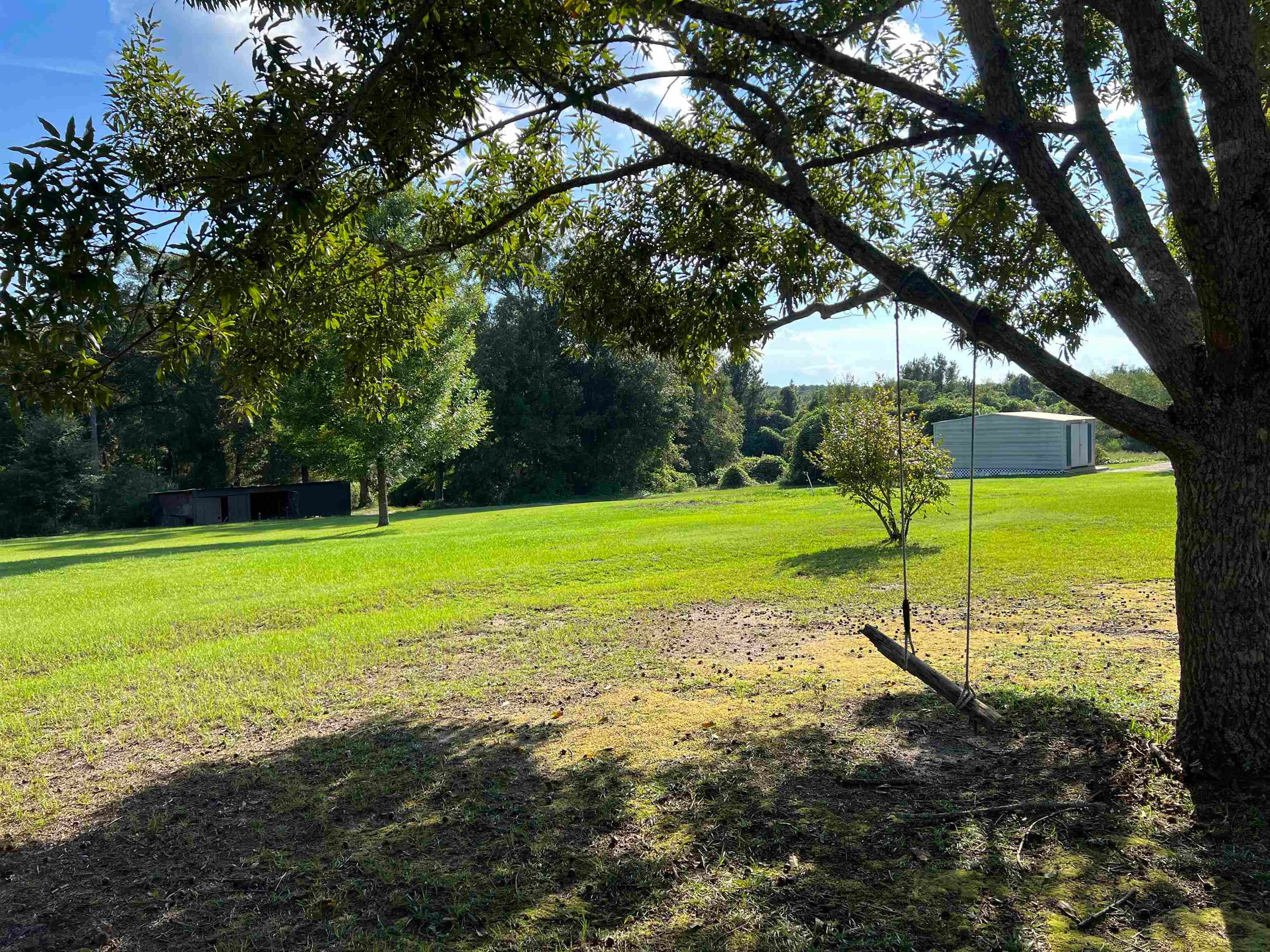 23390 Opine Road Andalusia, AL 36421 - Photo 26 of 28 Gallery Image 26