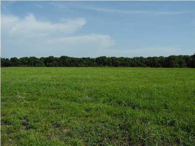 Martin Road Church Point, LA 70525 - Photo 1 of 1 Primary Photo