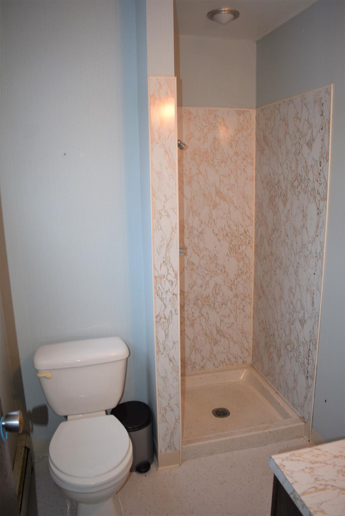 4600 Ridge Highway Britton, MI 49229 - Photo 14 of 43 Photo 14