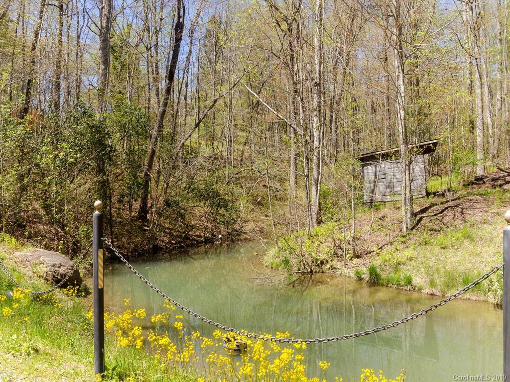 483 See Off Mountain Road Brevard, NC 28712 - Photo 39 of 42 Gallery Image 39
