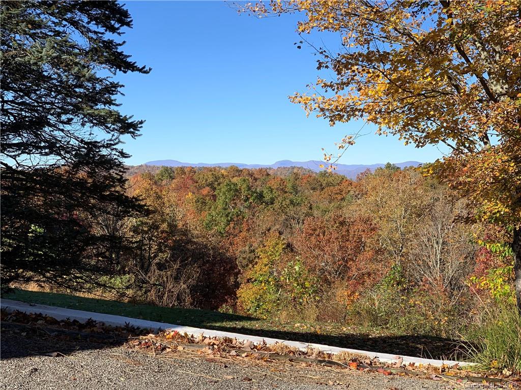 483 See Off Mountain Road Brevard, NC 28712 - Photo 41 of 42 Gallery Image 41