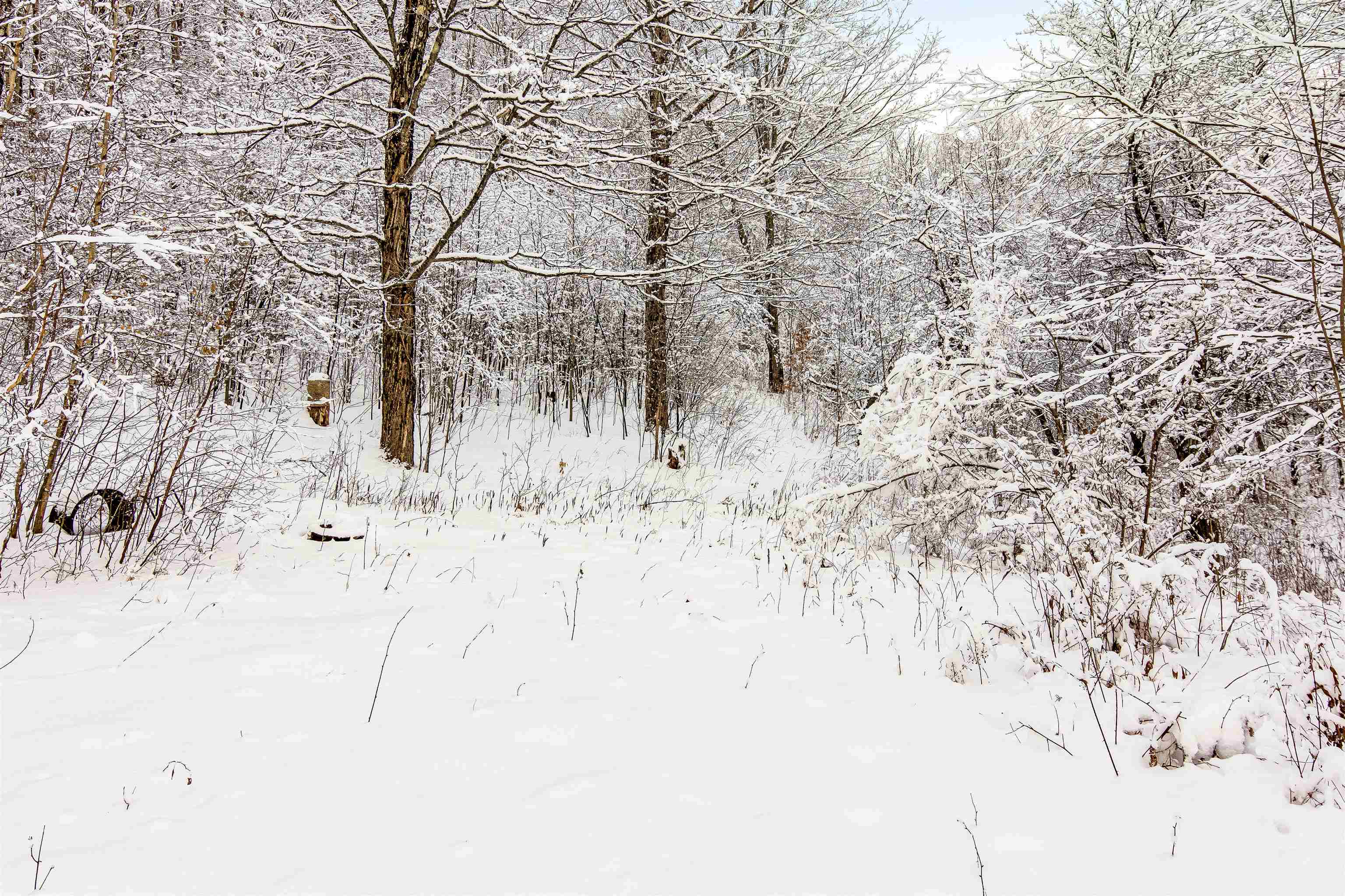 631 Goslett Road Montgomery, VT 05450 - Photo 12 of 40 Gallery Image 12