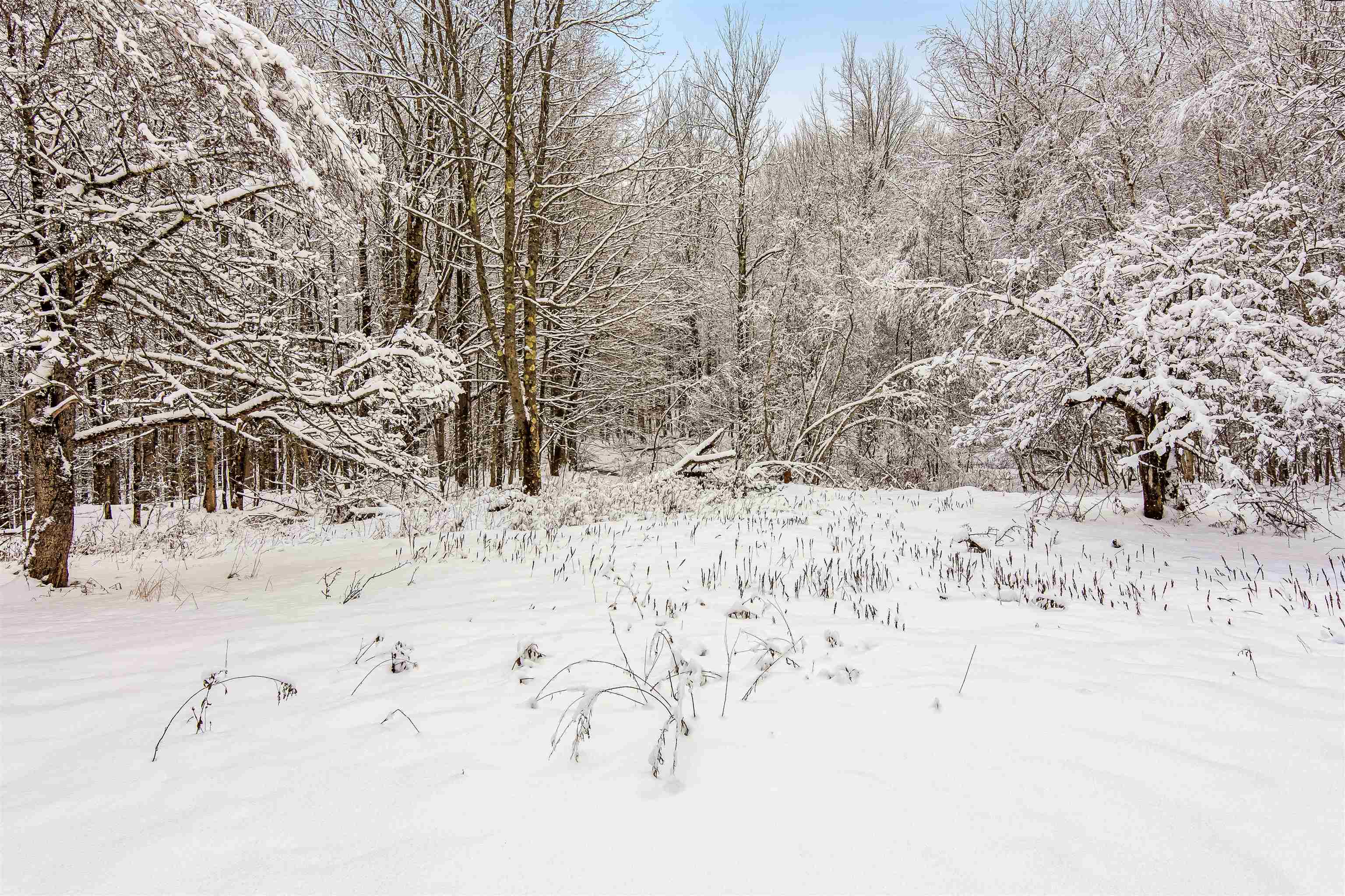 631 Goslett Road Montgomery, VT 05450 - Photo 17 of 40 Gallery Image 17