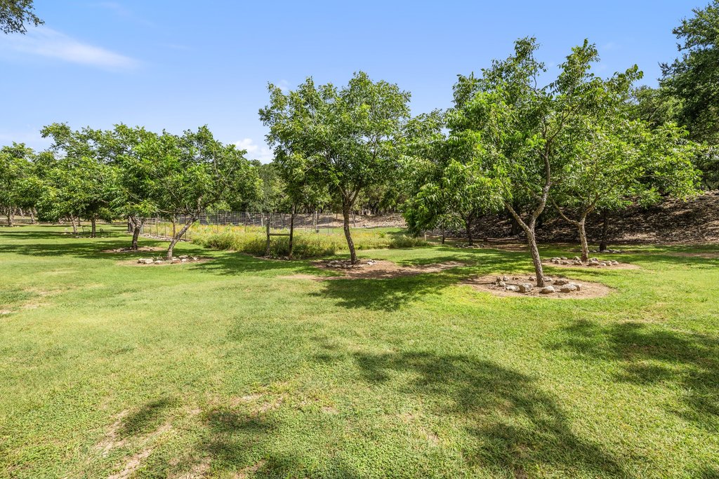 23644 Nameless Road Leander, TX 78641 - Photo 31 of 40 Green grounds with ample trees, providing both shade and natural beauty.