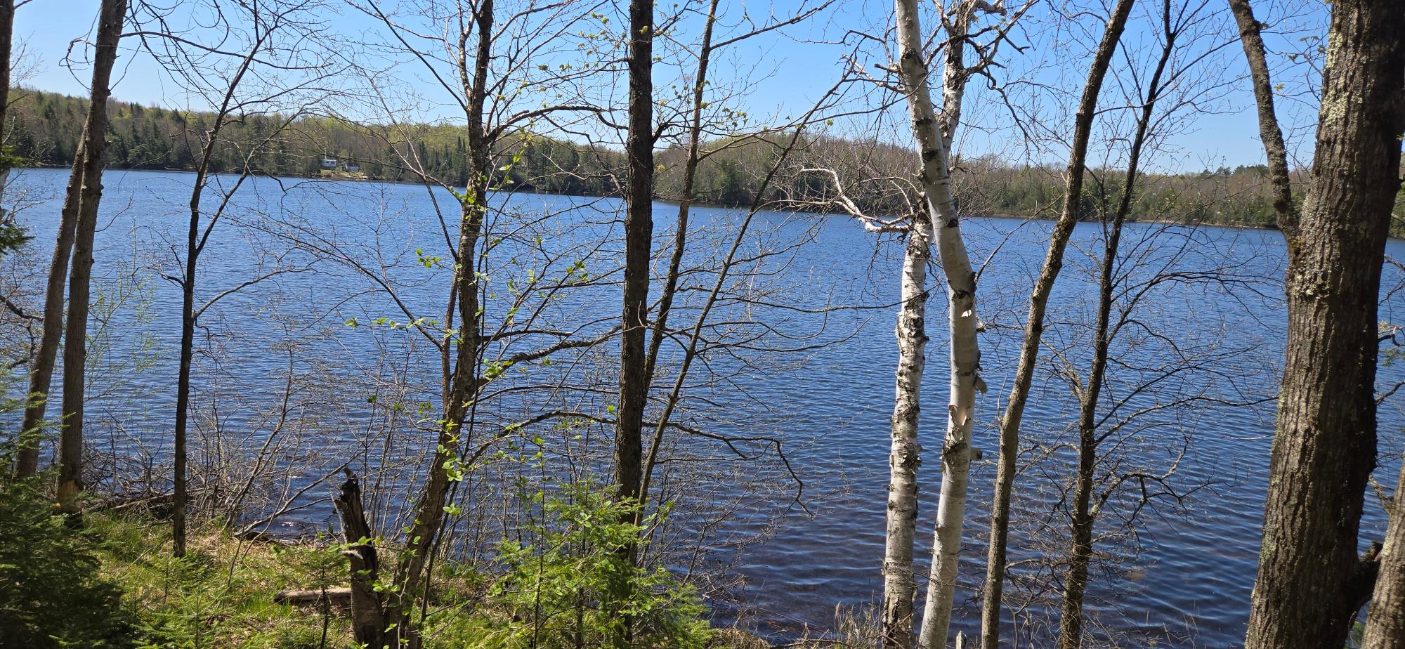 7981 East Armour Lake Road Presque Isle, WI 54557 - Photo 4 of 37 Gallery Image 4