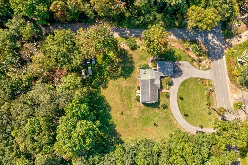 215 Stafford Road Holland, MA 01521 - Photo 7 of 36 a view of a garden with swimming pool