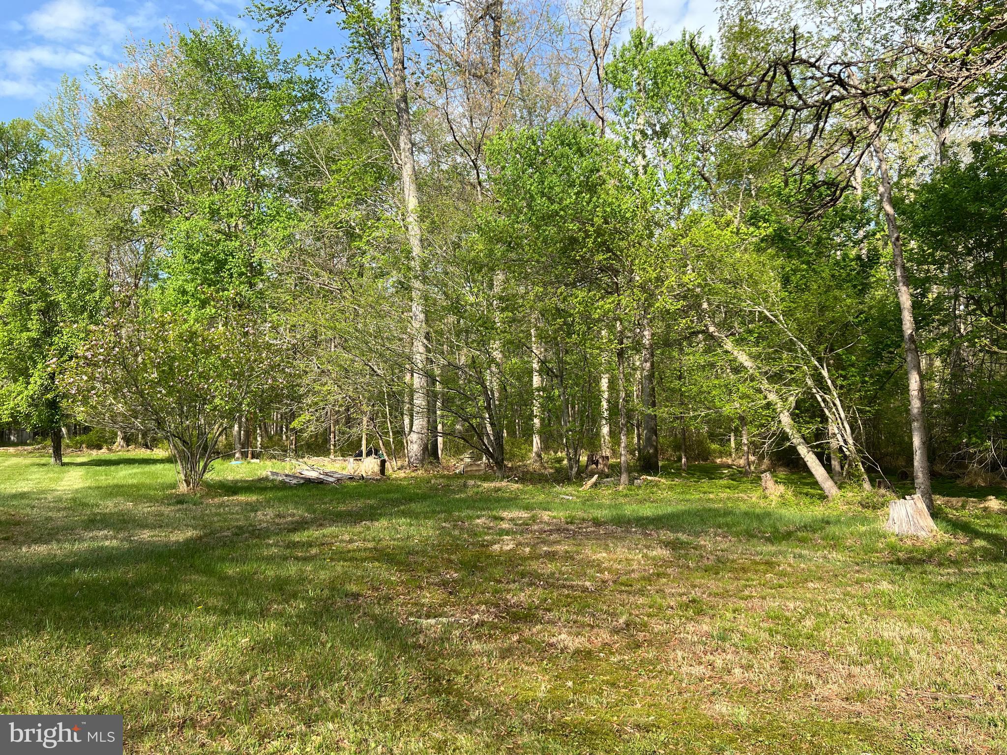 6705 Bumpy Oak Road La Plata, MD 20646 - Photo 32 of 36 Acreage
