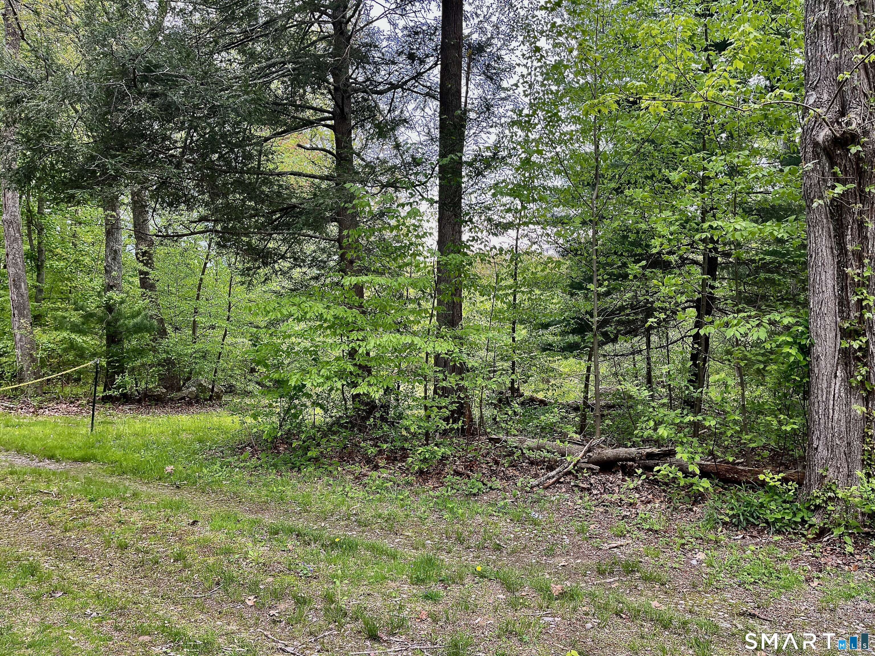 Meadow Brook Road Amston, CT 06231 - Photo 6 of 14 a view of lush green forest