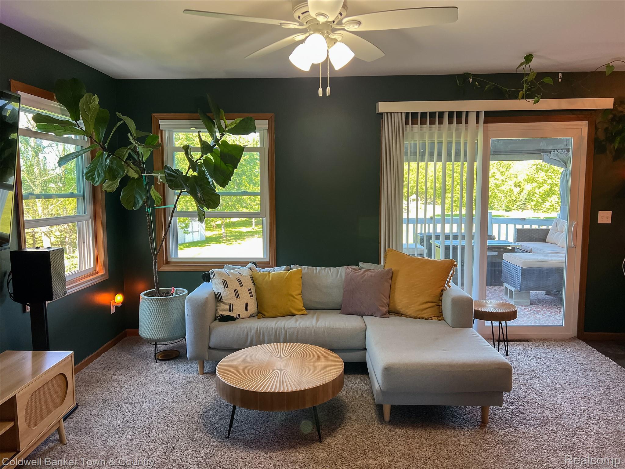 717 North Youngs Road Attica, MI 48412 - Photo 16 of 87 Living area featuring dark green walls, two windows with wood trim, a ceiling fan with integrated lighting, and a sliding glass door providing access to an outdoor area