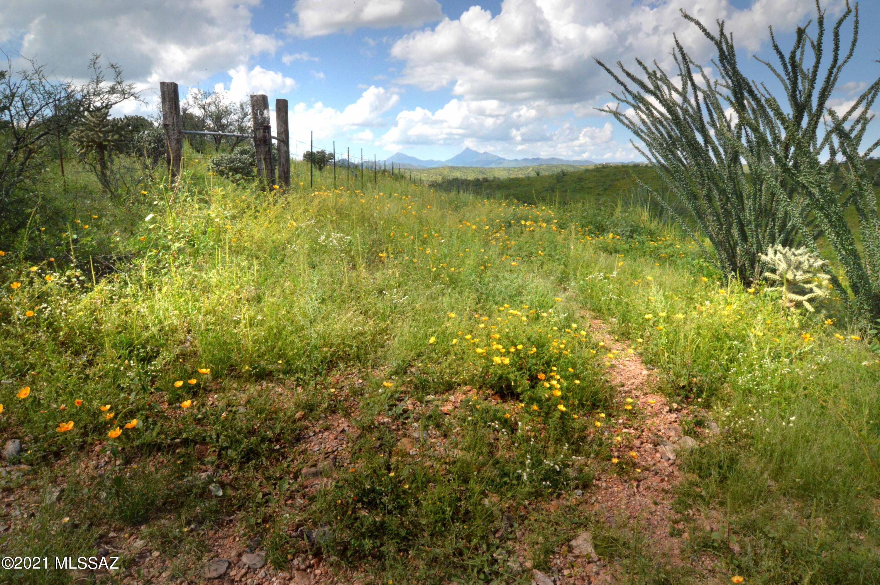 Tbd Sonoita Creek Ranch Road, Unit 86 Nogales, AZ 85621 - Photo 6 of 32