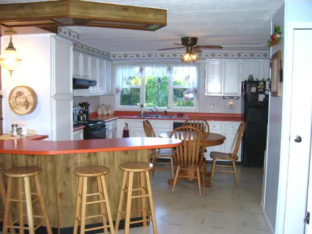 4385 Crain Road Onondaga, MI 49264 - Photo 3 of 11 Photo 3
