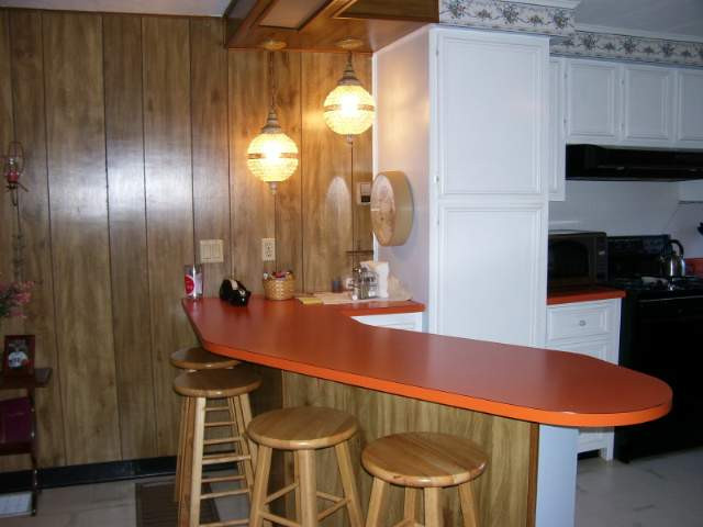 4385 Crain Road Onondaga, MI 49264 - Photo 4 of 11 Photo 4