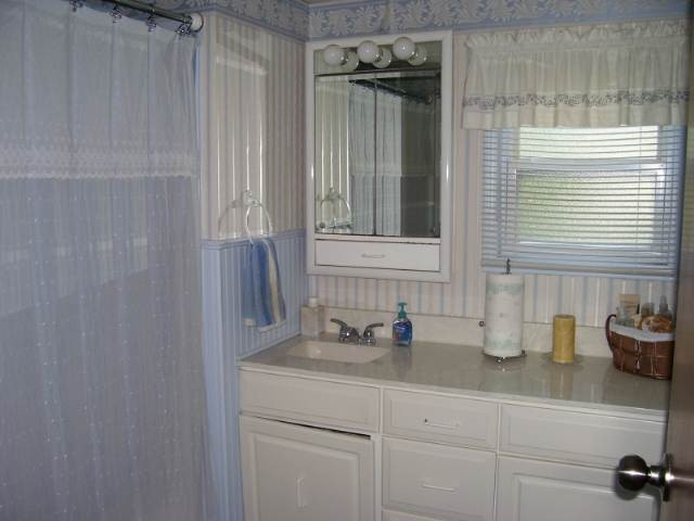 4385 Crain Road Onondaga, MI 49264 - Photo 8 of 11 Photo 8