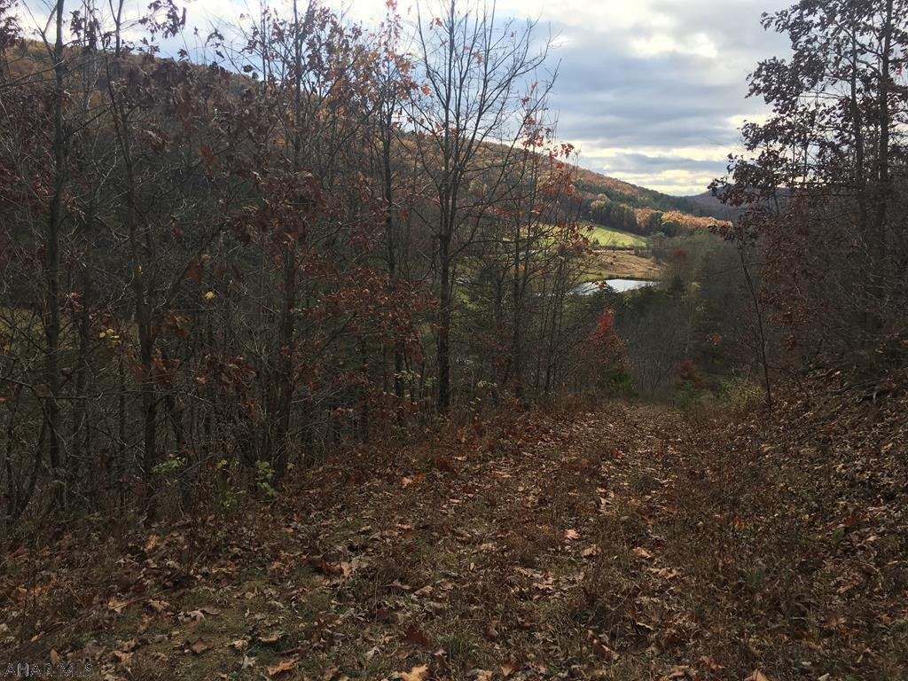 3152 Clear Ridge Road Clearville, PA 15535 - Photo 1 of 11 a view of a yard