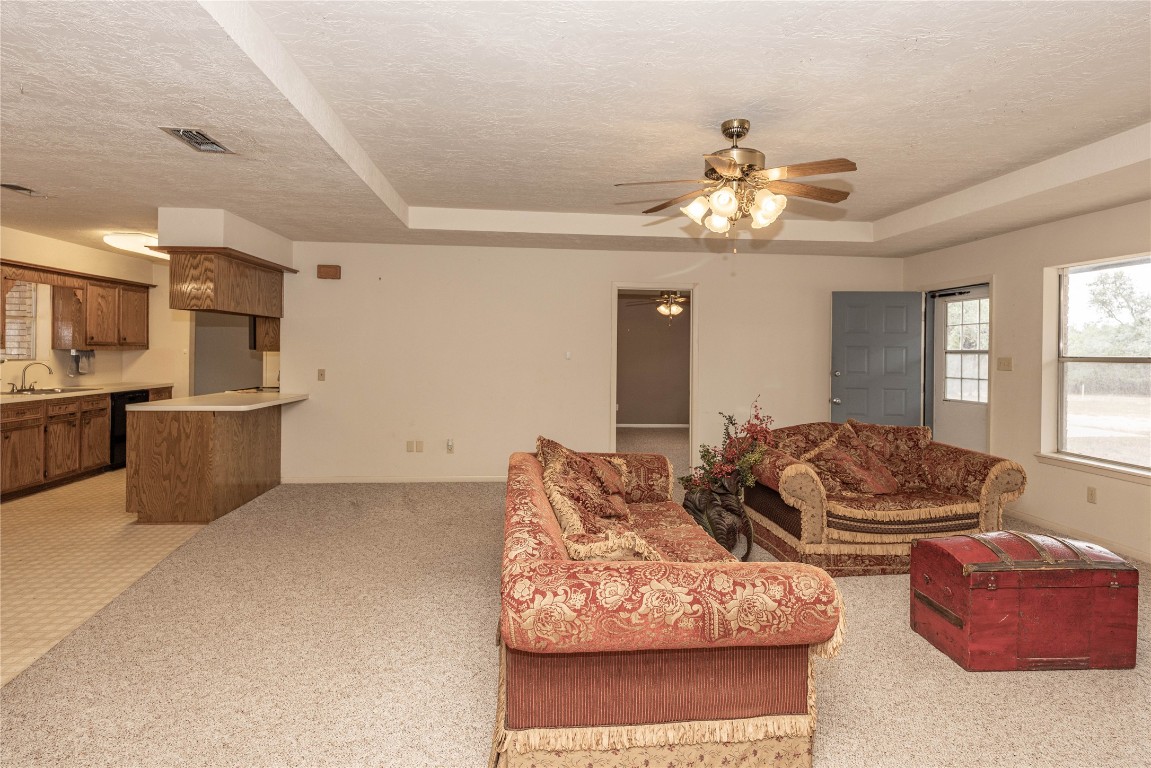 2501 Fischer Store Road Wimberley, TX 78676 - Photo 15 of 37 Living area with a tray ceiling, light colored carpet, a textured ceiling, and a ceiling fan