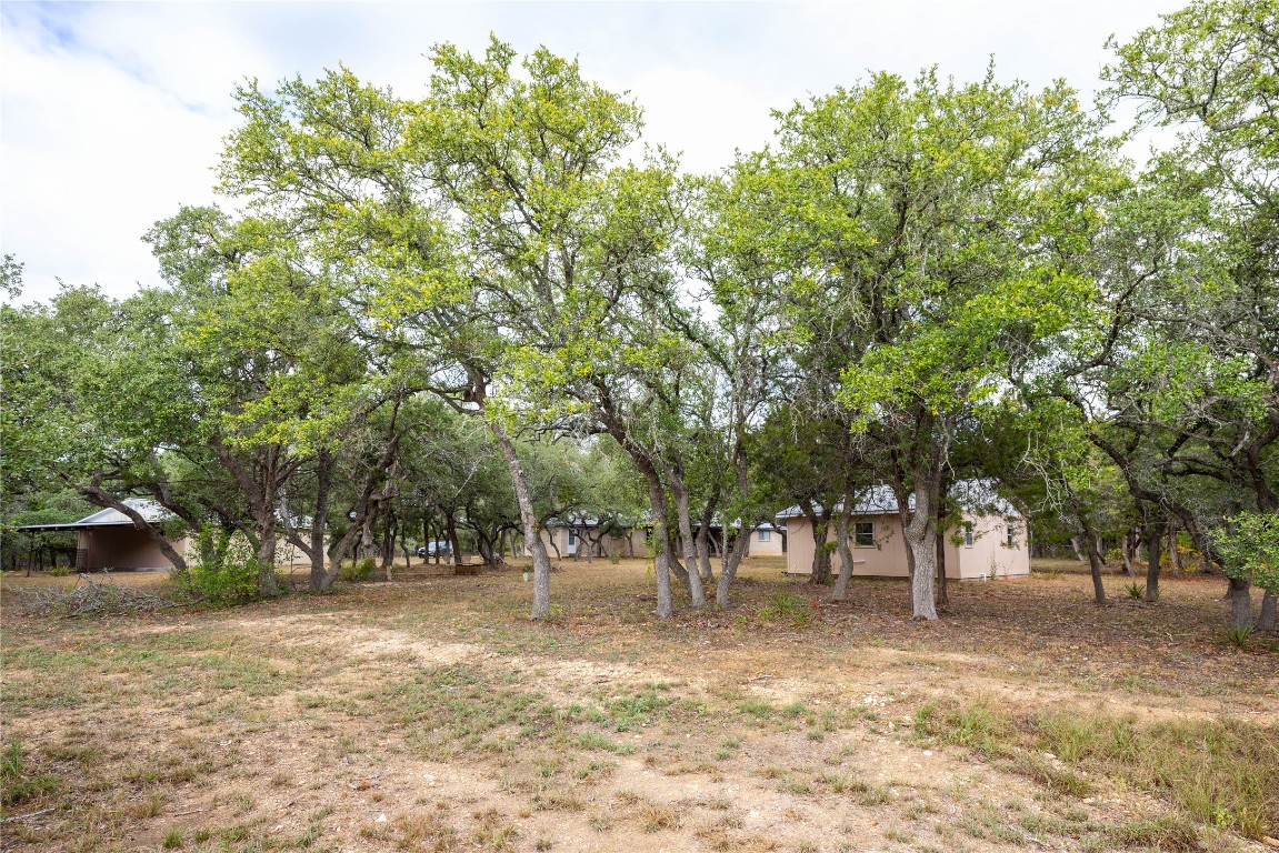 2501 Fischer Store Road Wimberley, TX 78676 - Photo 34 of 37 View of yard featuring view of scattered trees