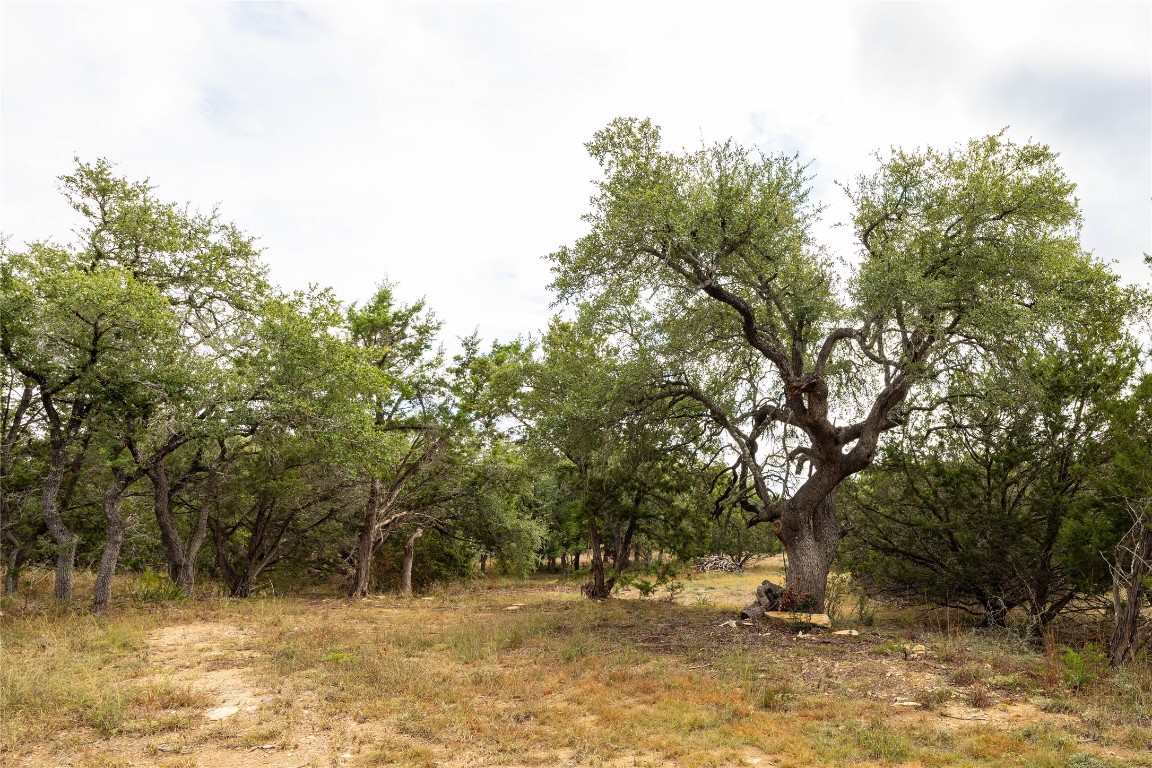 2501 Fischer Store Road Wimberley, TX 78676 - Photo 35 of 37 View of undeveloped land