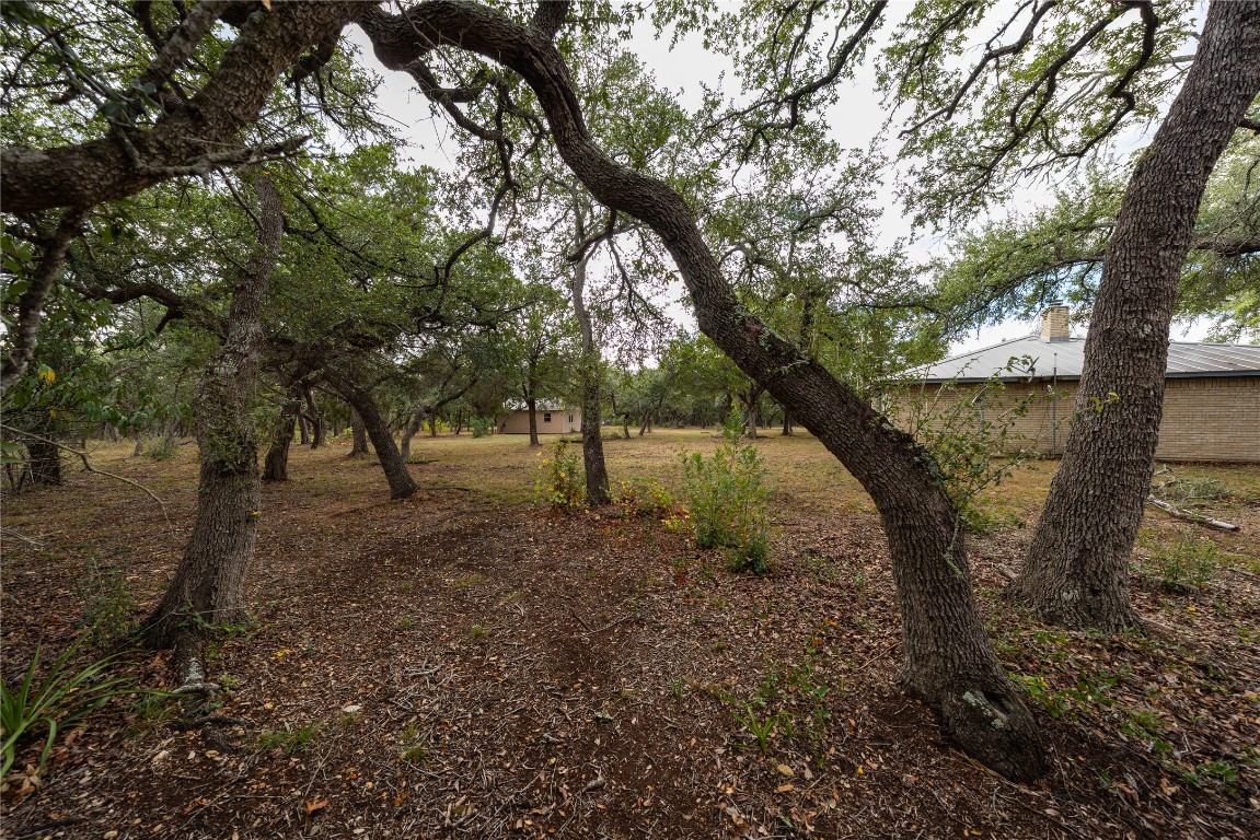 2501 Fischer Store Road Wimberley, TX 78676 - Photo 36 of 37 View of yard